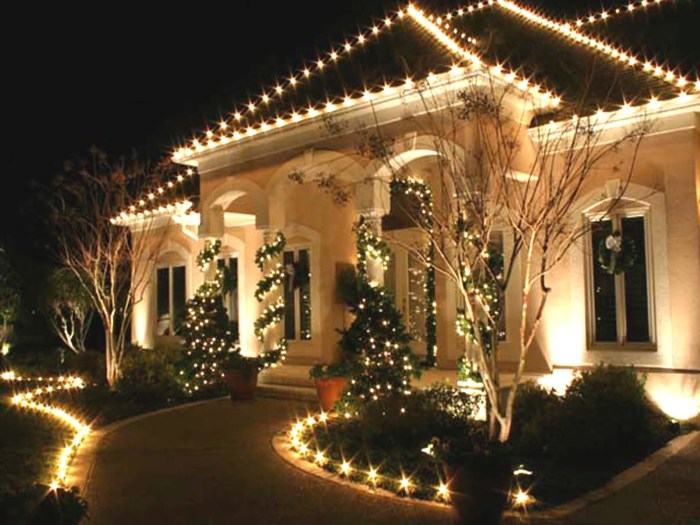 Led christmas outdoor decor